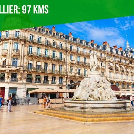 Apartamento L'Olivier - 2 Terrasses - Clim Ac - Wifi - Proche Theatres Aviñón Exterior foto